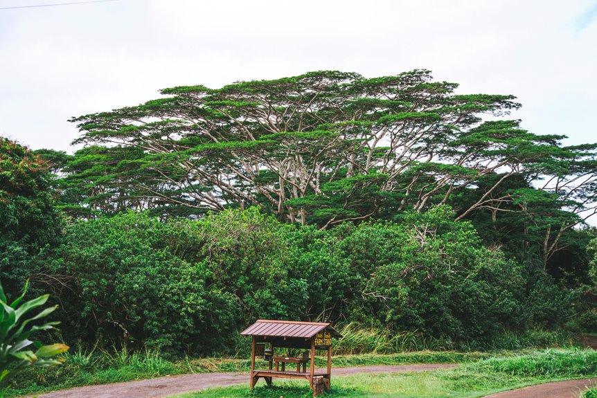 eco friendly autumn travel tips